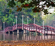 泰国艺术大学