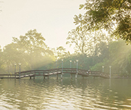 泰国艺术大学