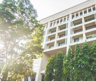泰国清迈大学