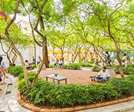 泰国艺术大学