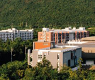 泰国国王科技大学