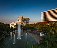 泰国斯巴顿大学