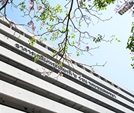 泰国农业大学