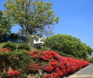 韩国釜山国立大学