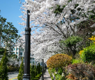 韩国汉阳大学