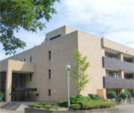 日本东北大学