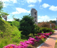韩国世翰大学