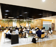 韩国加图立大学