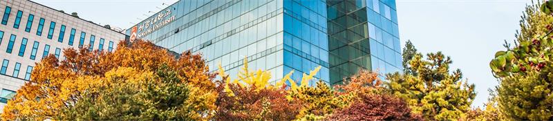 韩国西江大学