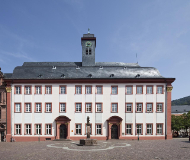 德国海德堡大学