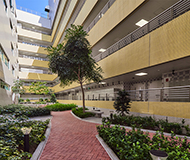 澳门理工大学