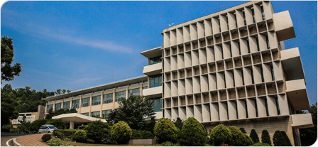 韩国西江大学