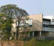 英国约克大学
