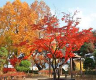 韩国釜山国立大学