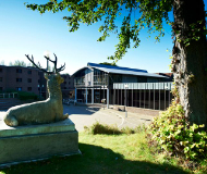 英国杜伦大学