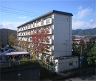 日本大阪大学