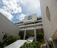 澳门城市大学