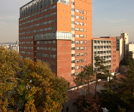 韩国加图立大学