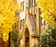 日本东京大学