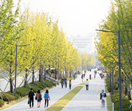 韩国延世大学