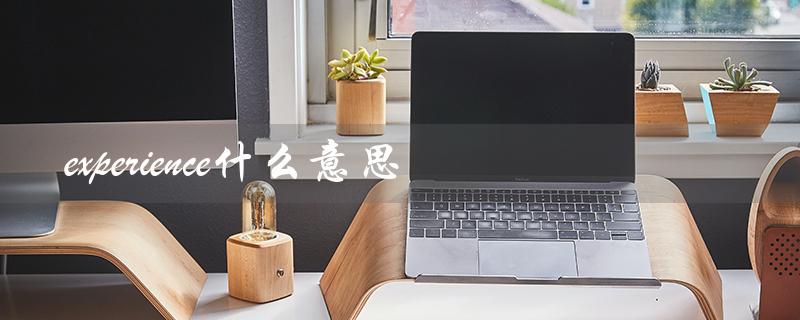 experience什么意思