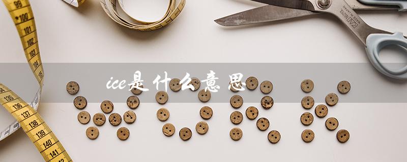 ice是什么意思（ice医学缩写含义是什么）