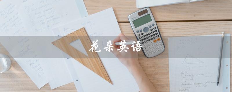 花朵英语（花朵英语该如何发音）