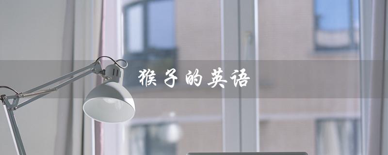 猴子的英语（猴子英文怎么读）
