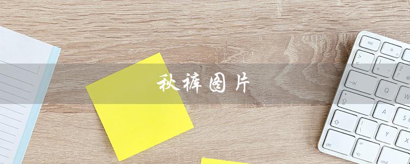 秋裤图片（老式秋裤长什么样）