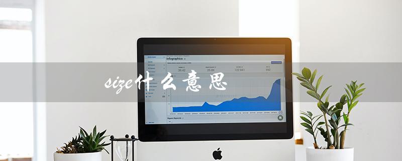 size什么意思（oversize是什么意思）
