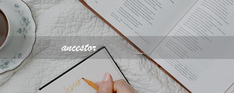 ancestor（祖先的翻译是什么）