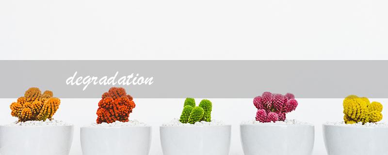 degradation（degradation的翻译是什么）