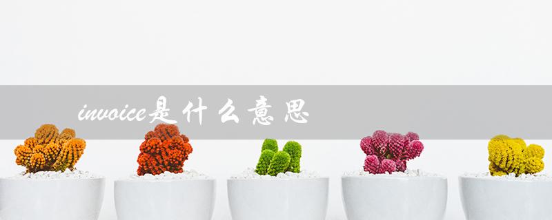 invoice是什么意思（什么是invoice no）