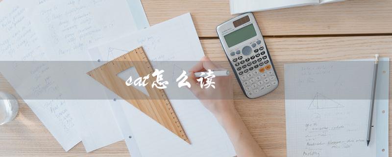sat怎么读（周六的英文怎么念）