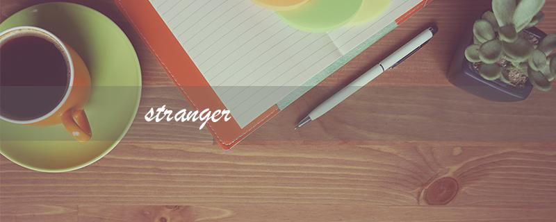 stranger（什么是stranger的翻译）