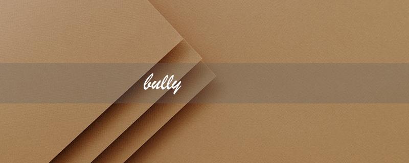 bully（什么是bully）