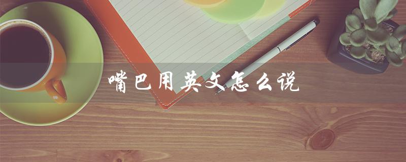嘴巴用英文怎么说（嘴巴英文怎么说怎么读）