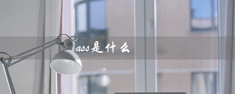 ass是什么（ass文件格式是什么）