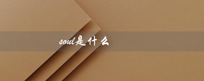 soul是什么（soul的含义是什么）