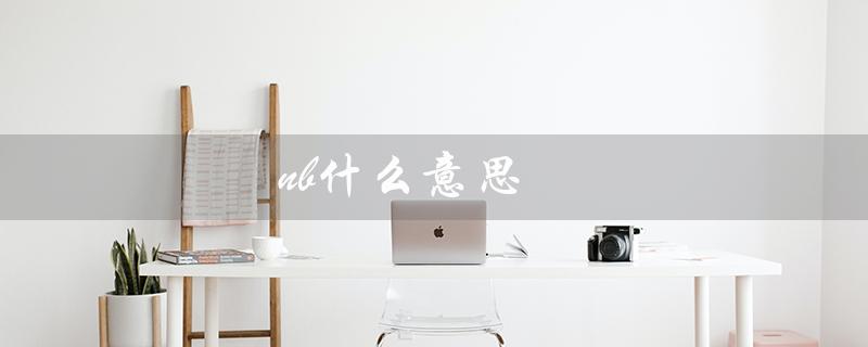 nb什么意思（nb的中文意思是什么）