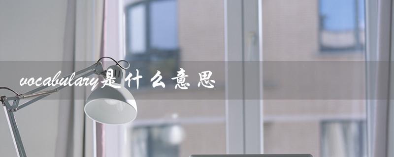 vocabulary是什么意思（key vocabulary是什么）