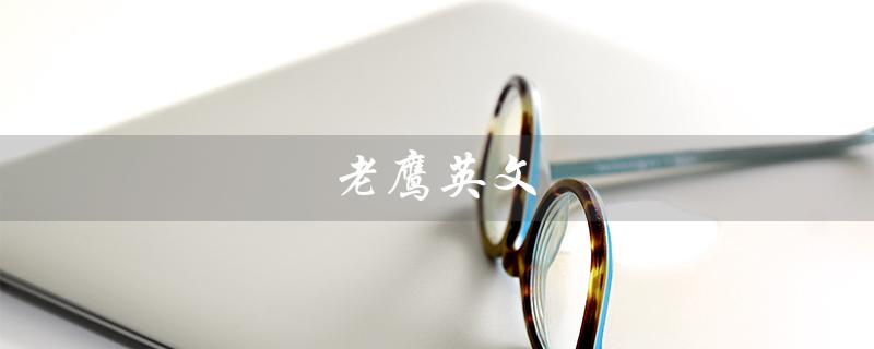 老鹰英文（老鹰英文怎么说）